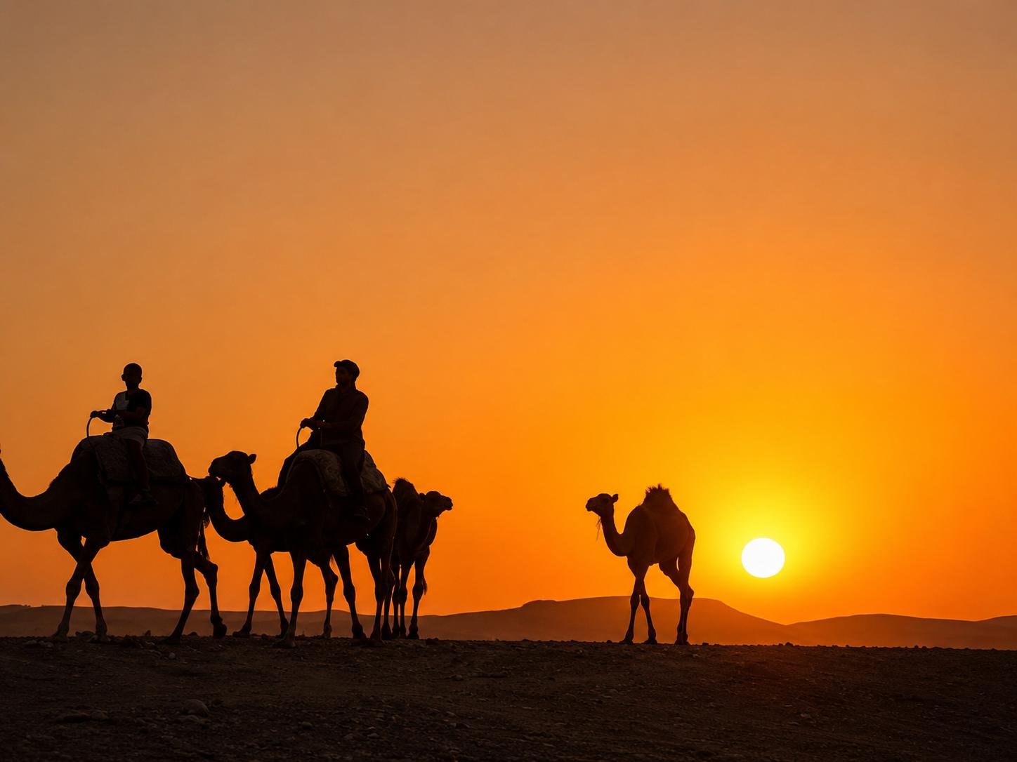 3 Day Desert Tour from Marrakech gallery 9