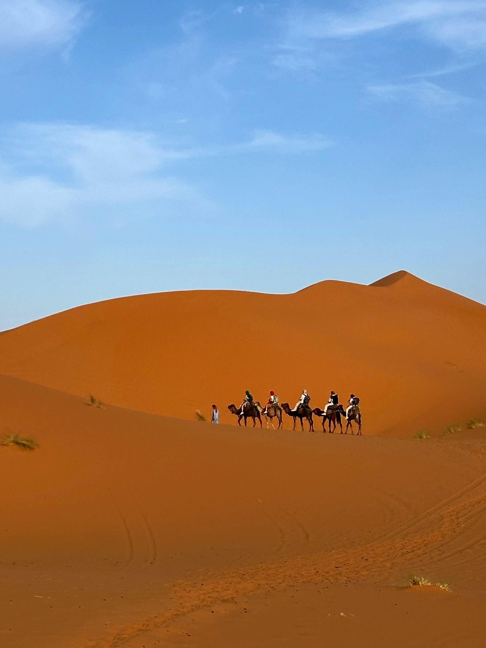 Kasbah, Oases and Desert 8 Days — Merzouga dunes and desert camp nights