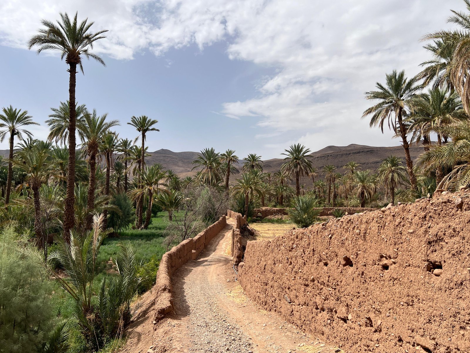 Kasbah, Oases and Desert 8 Days — Zagora palm sea and return to Marrakech