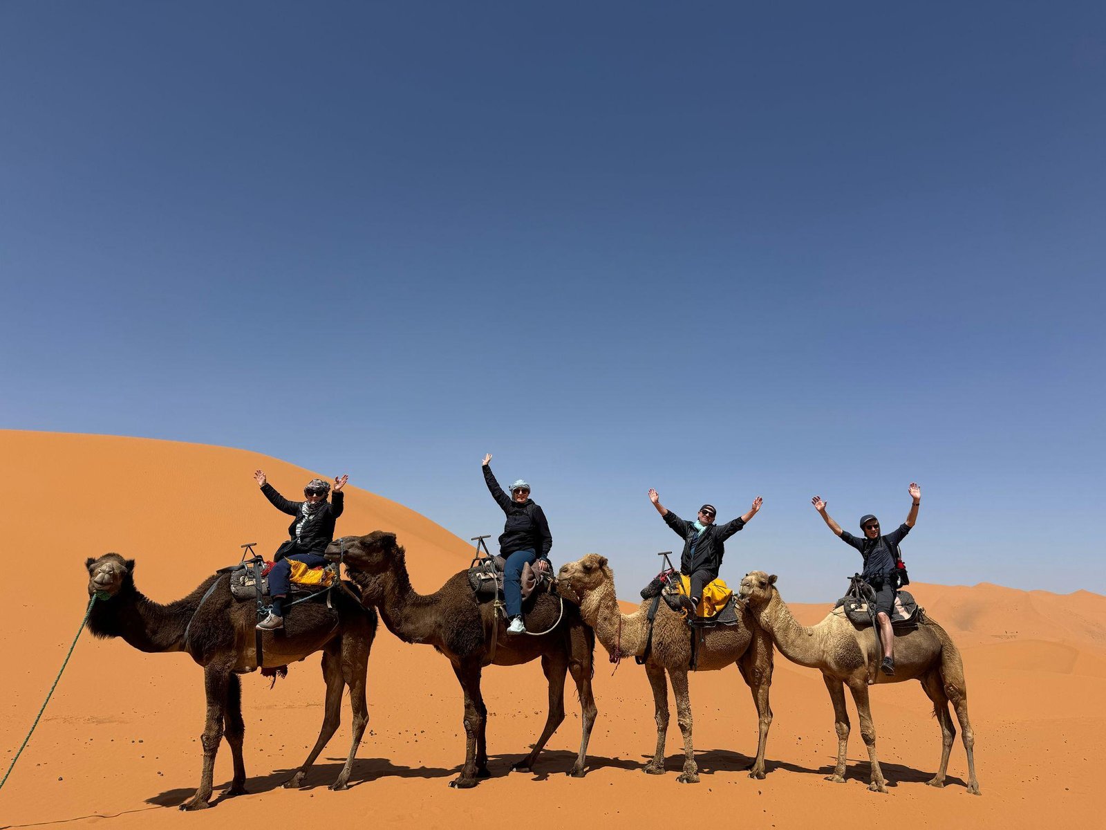 Kasbah, Oases and Desert 8 Days gallery 5