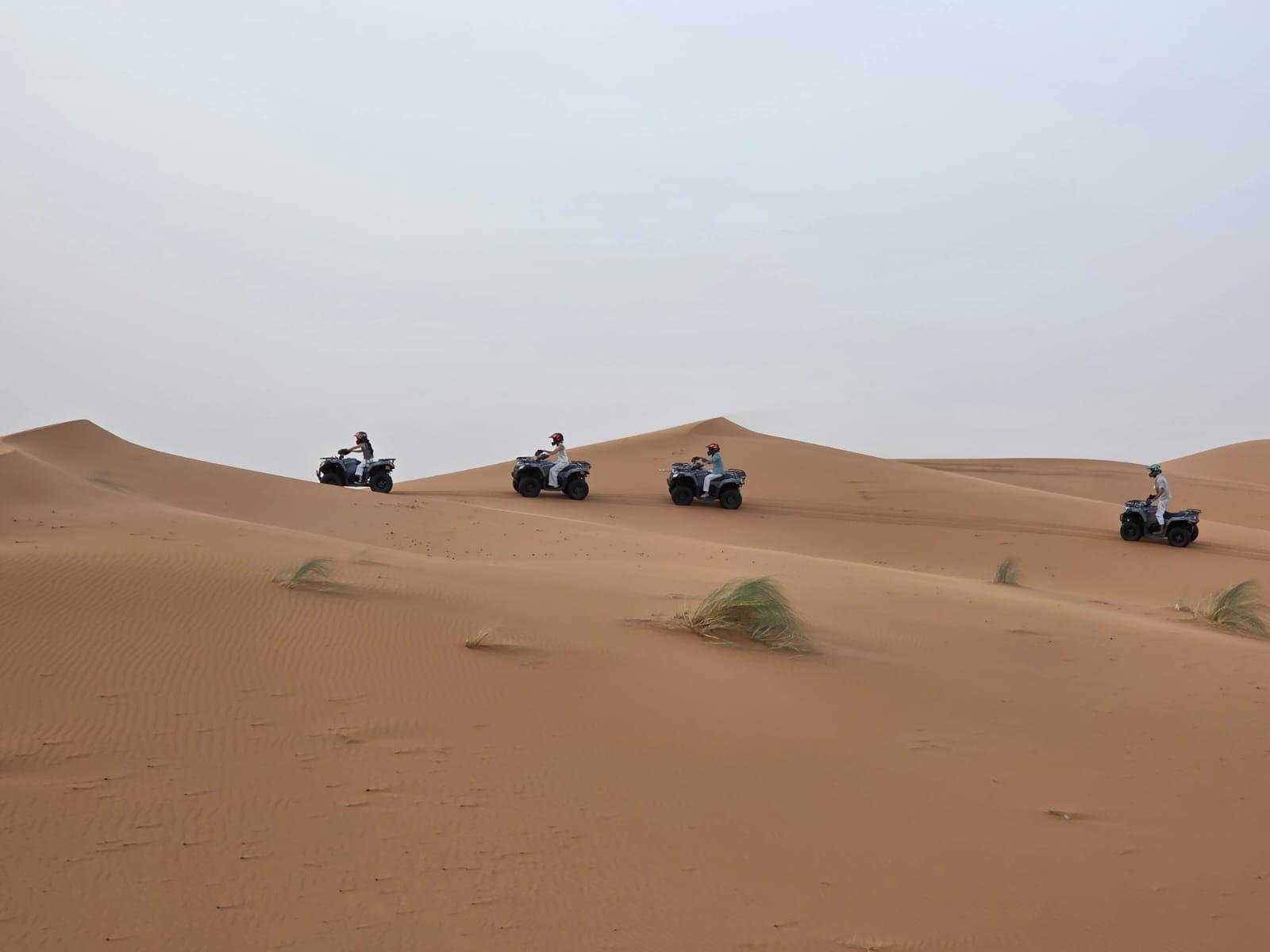 Kasbah, Oases and Desert 8 Days — Morocco journey