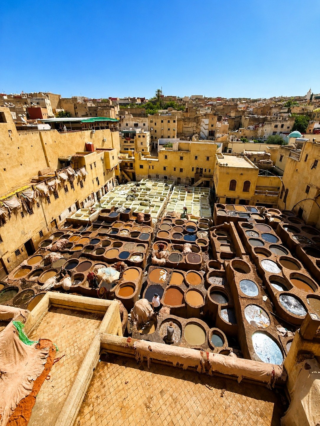 Beautiful Morocco 20 Days — Fès medina mastery and Middle Atlas crossing