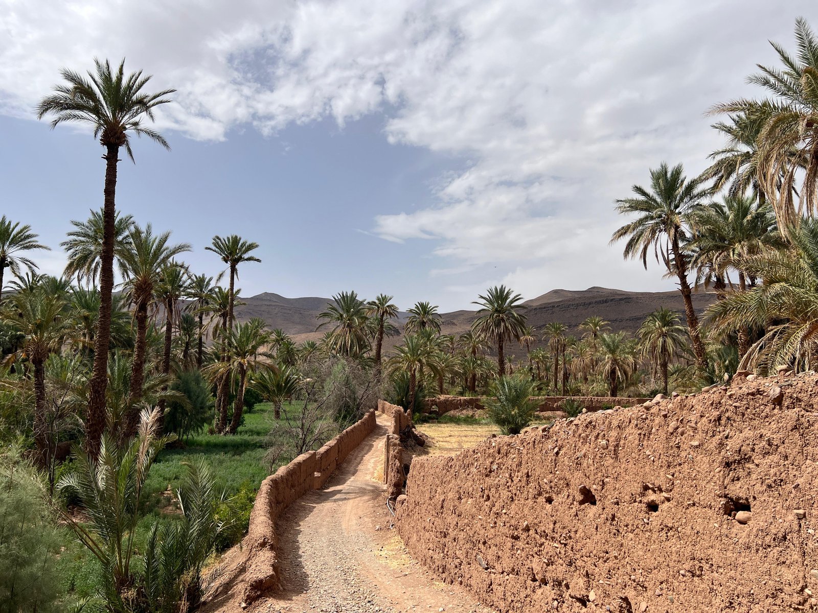 Draa Valley palm groves near Agdez on day 3