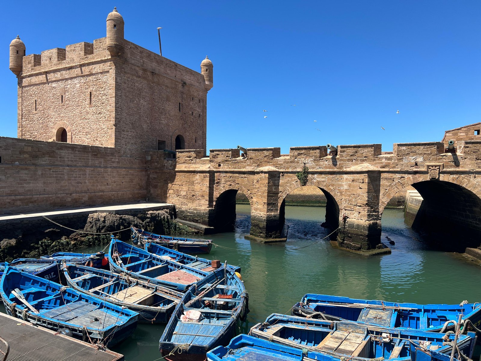 Essaouira medina and port on free day 6