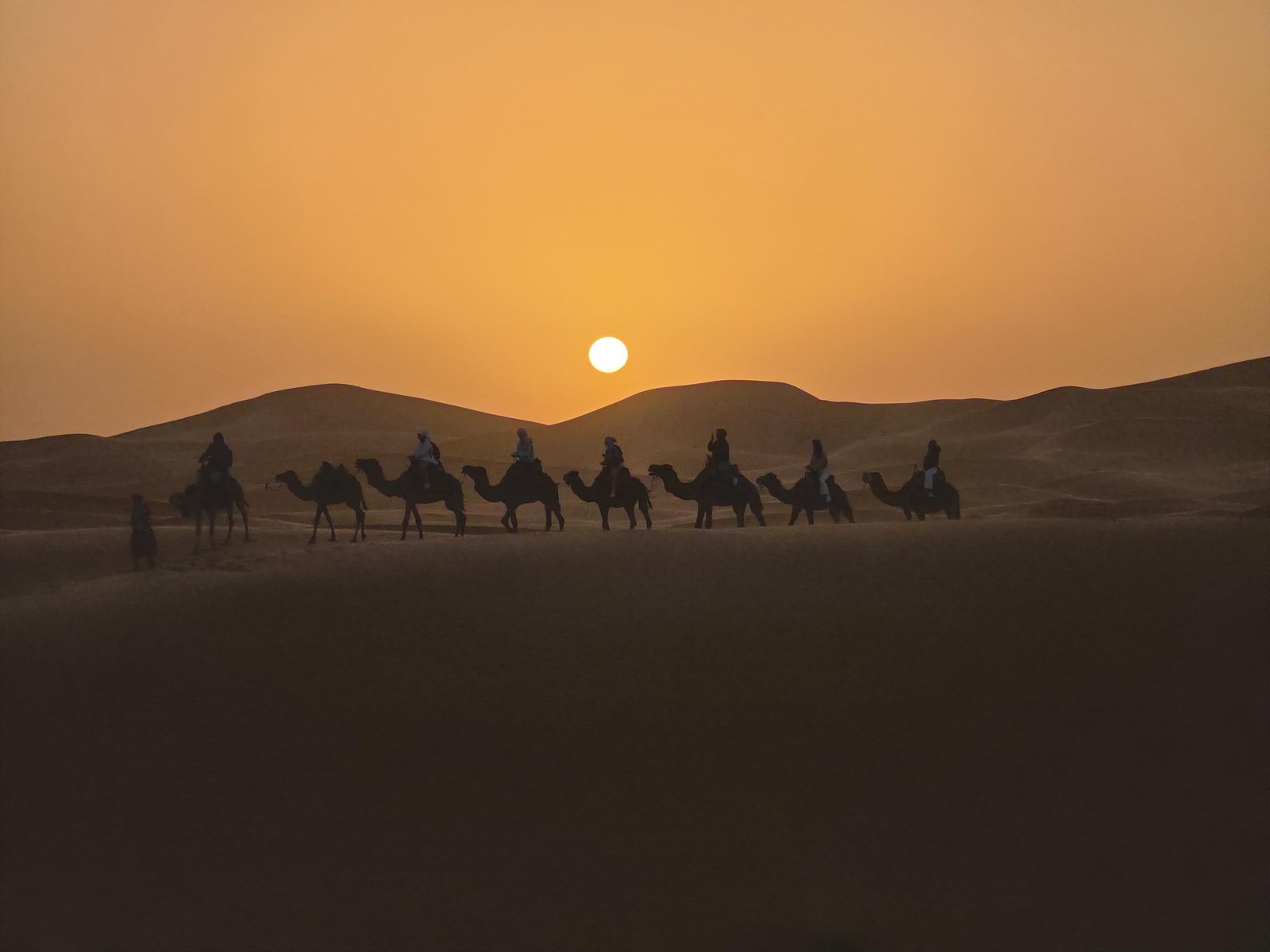 7 Days Morocco Desert & Atlantic gallery 5