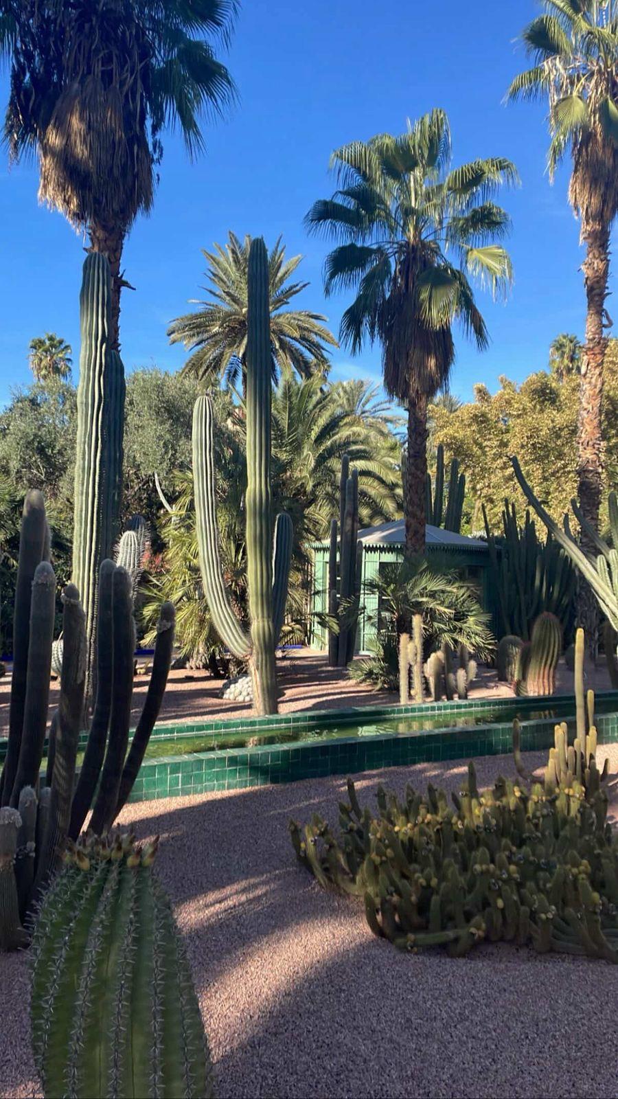 6 Days, 5 Nights Marrakech Itinerary gallery 5