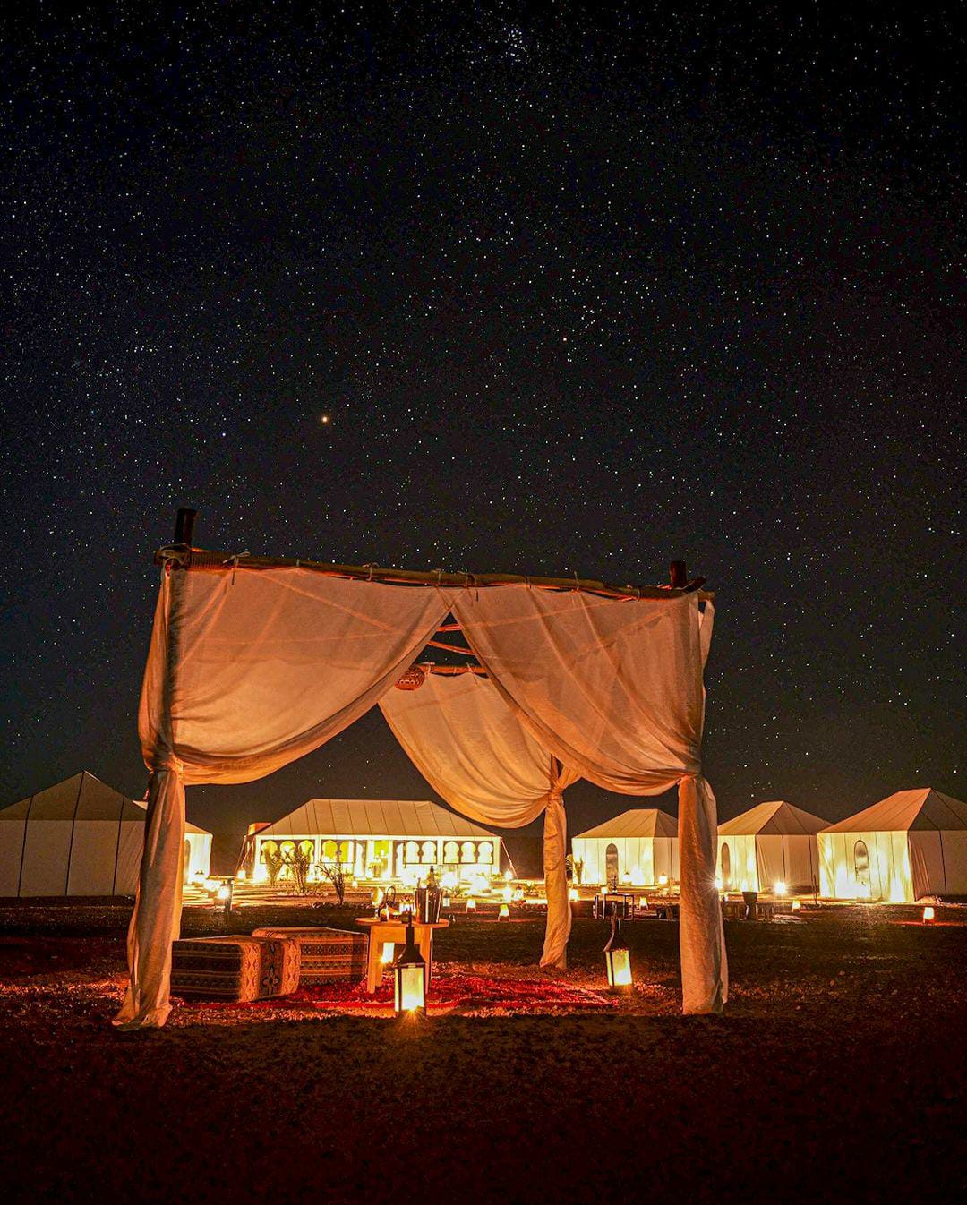 Sahara Nights