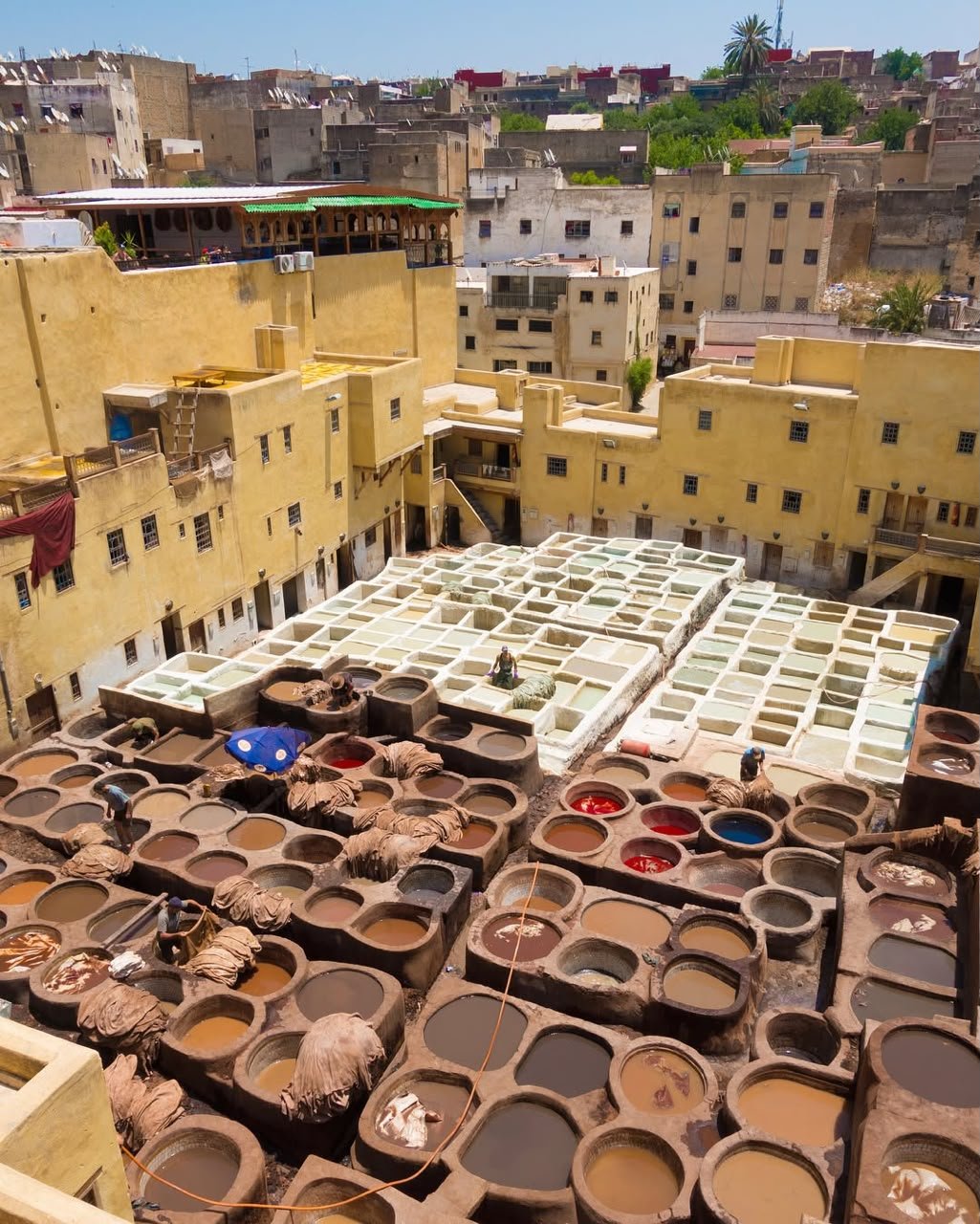 Fes travel photo 1