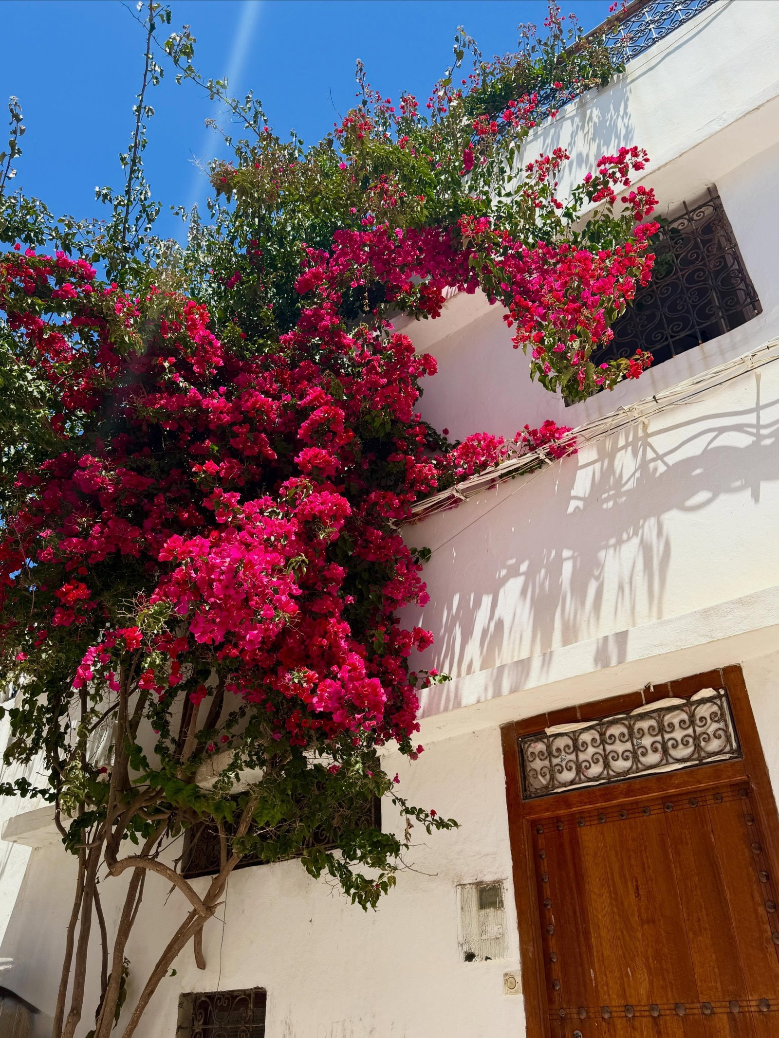 Tangier travel photo 2